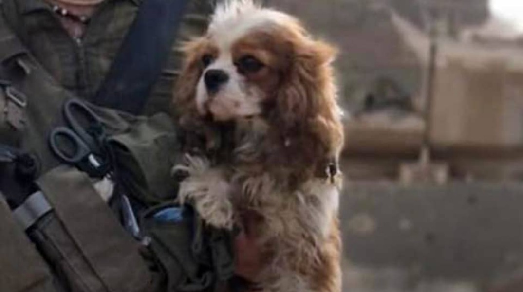 telemmglpict000420423761_17448093234590_trans_nvbqzqnjv4bq-iwly18x4-czgyicjleaj0k9u7hhrjvuo-zlengruma