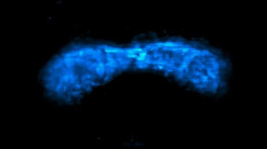 telemmglpict000423909332_17471234972880_trans_nvbqzqnjv4bqg60fyotb0df9ivs45ewazlcejimsjonodbkssyju7ja