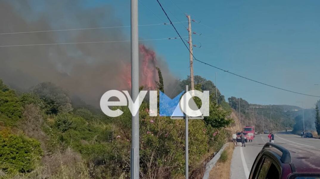 Φωτιά τώρα στην Εύβοια