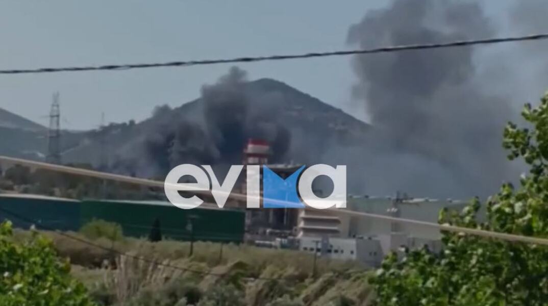 Φωτιά τώρα στην Εύβοια