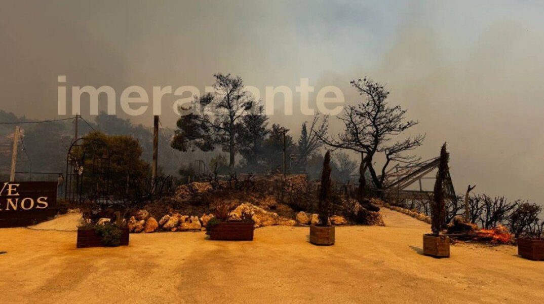 Ζάκυνθος: Η φωτιά κατέστρεψε την ιστορική ταβέρνα «Δαμιανός» στον Αγαλά