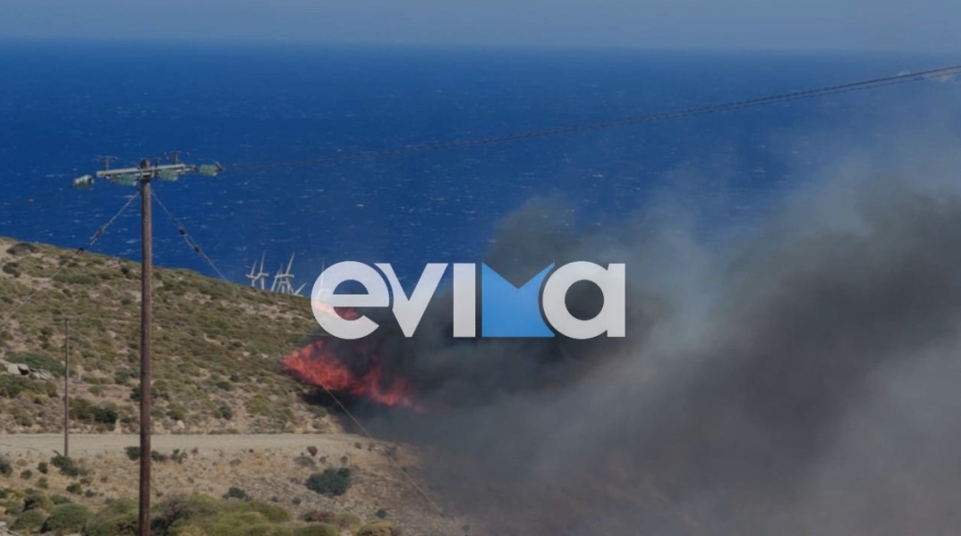 Φωτιά τώρα στην Κάρυστο 