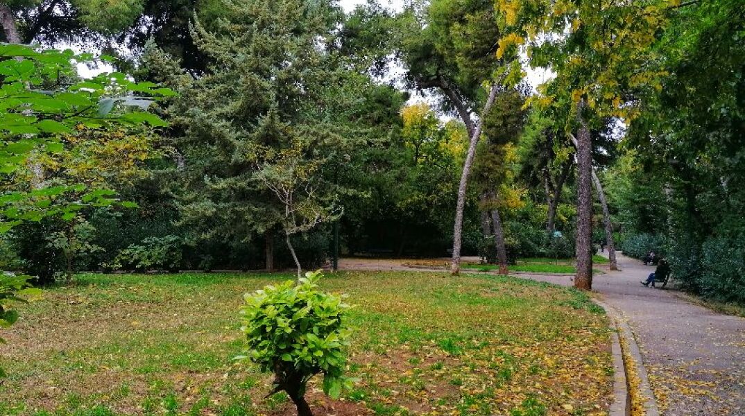 Το Άλσος Παγκρατίου δενδροφυτεύτηκε με πρωτοβουλία της: