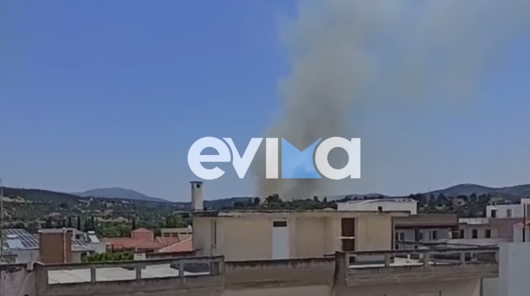Μήνυμα από το 112 για τη φωτιά στο Αλιβέρι της Εύβοιας - «Παραμείνετε σε ετοιμότητα»