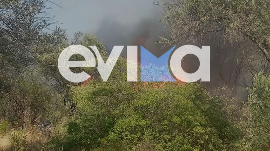 Χωρίς ενεργό μέτωπο η φωτιά στα Πολιτικά Ευβοίας