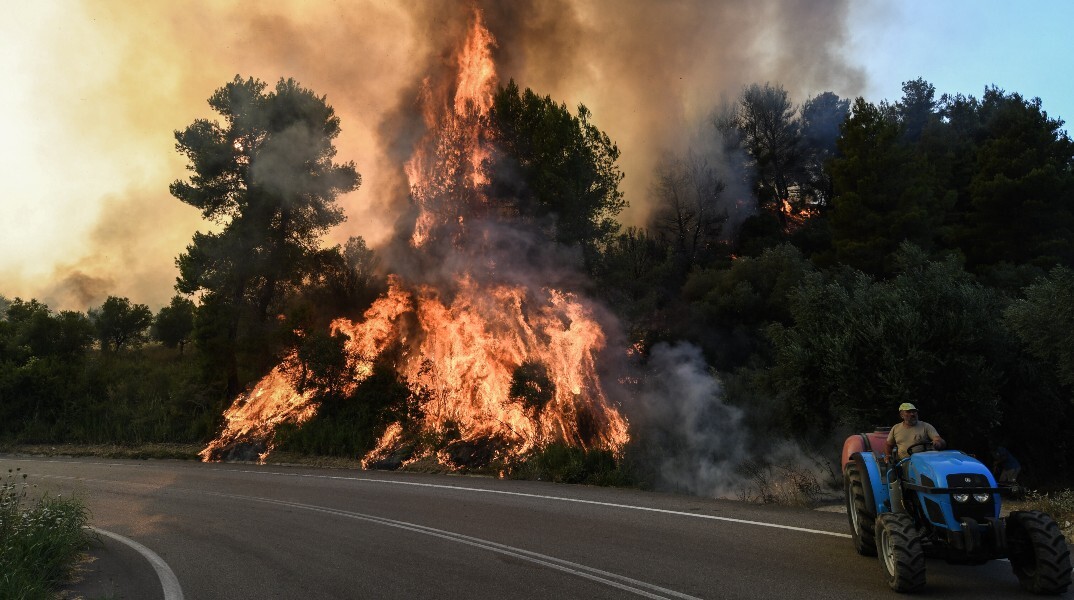 Πύρινος εφιάλτης στην Ηλεία - Πολίτες προσπαθούν να συνεισφέρουν στην κατάσβεση της πυρκαγιάς