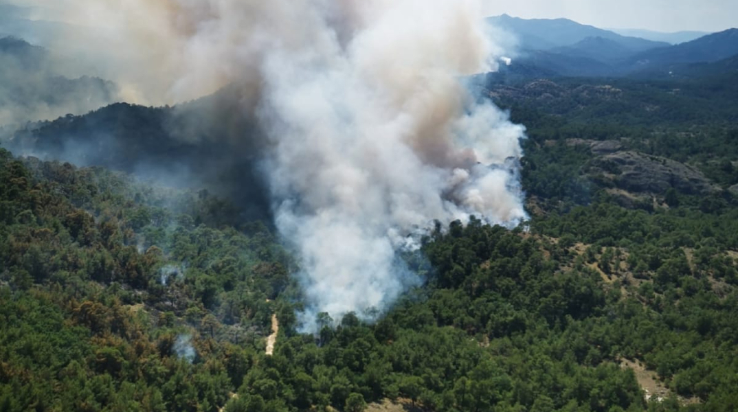 Το δάσος της Δαδιάς καίγεται