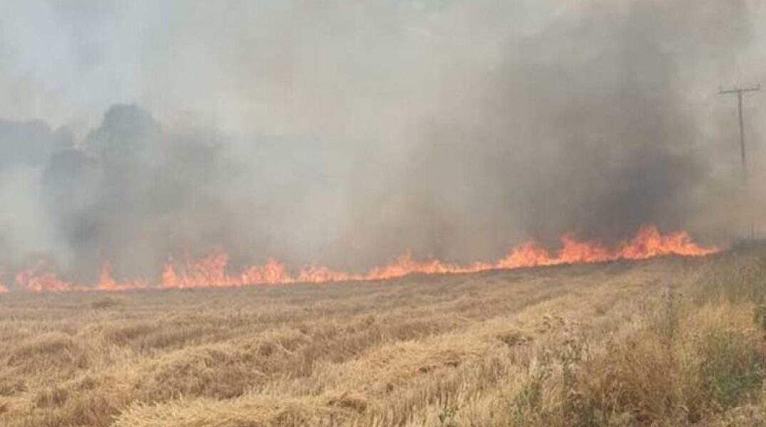 Φωτιά τώρα στο Σχίνο Μεσσηνίας