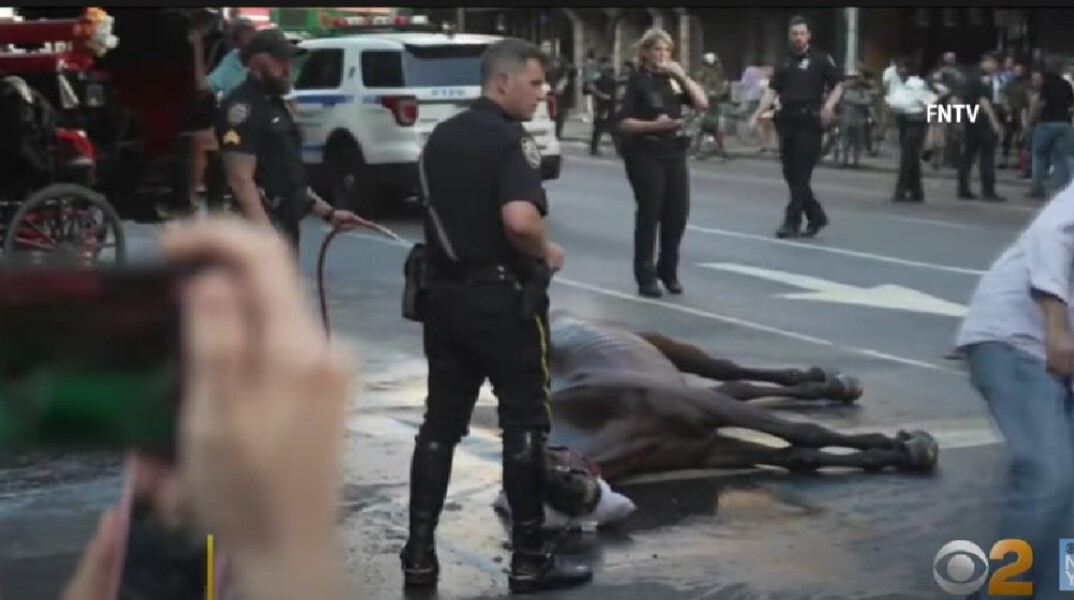 Άλογο κατέρρευσε σε δρόμο του Μανχάταν