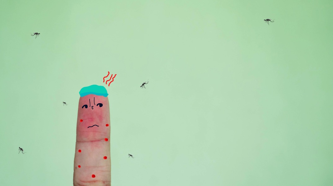 Τι δείχνουν έρευνες για τα κουνούπια και τα τσιμπήματα στους ανθρώπους - Η λύση για να μειώσετε τις οσφρητικές ενδείξεις που κάνουν τα κουνούπια να σας επιτίθενται