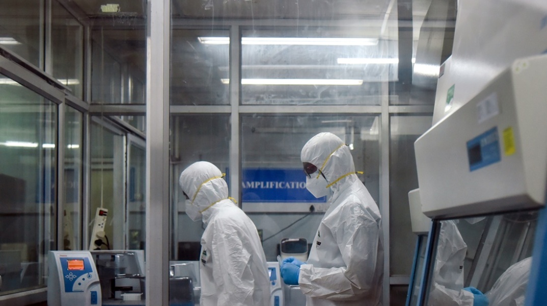 Ευλογιά των πιθήκων 