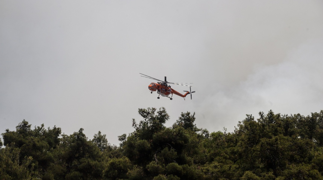 Πυρκαγιά ξέσπασε πριν από λίγο στη Θεσσαλονίκη, σε δασική έκταση στο Σέιχ Σου – Με επίγεια και εναέρια μέσα επιχειρεί η Πυροσβεστική. 
