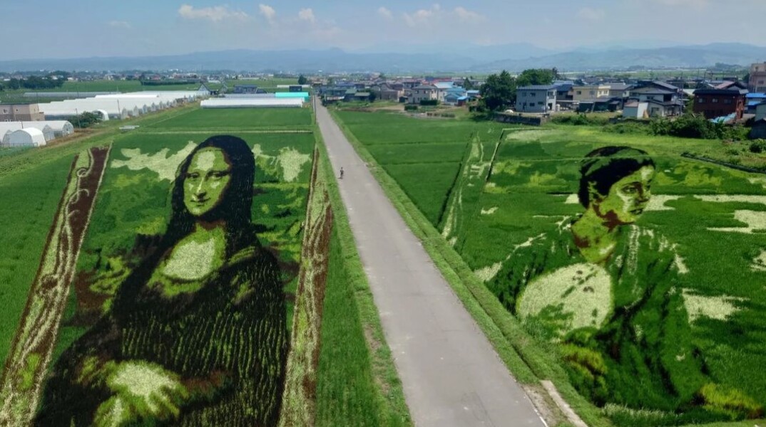 Η Mona Lisa σε χωράφι στην Ιαπωνία