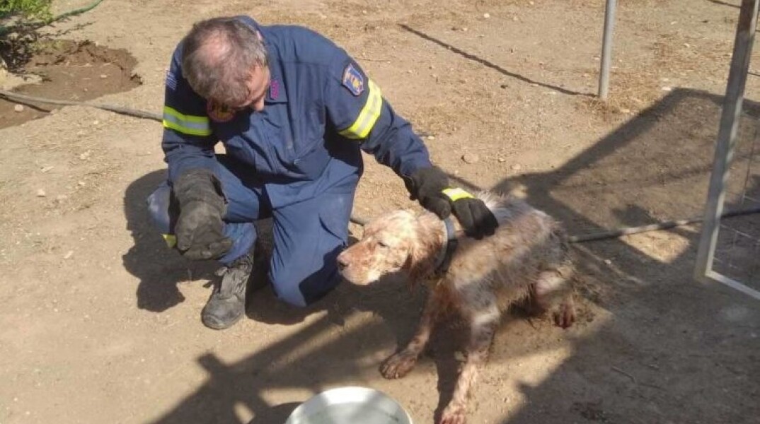 skylos-pyr-766x1024-1