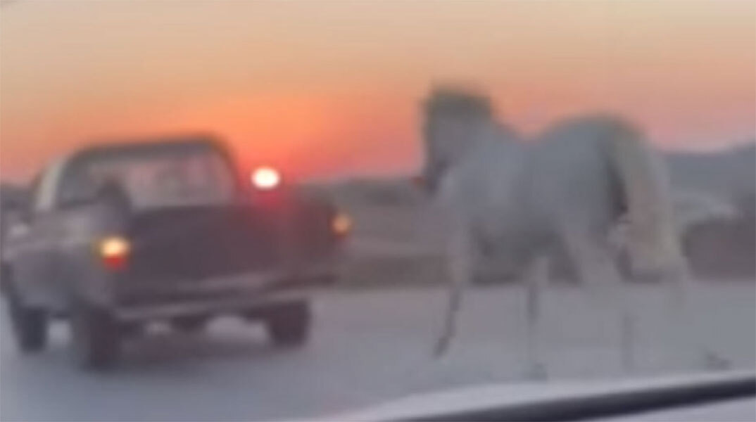 Έδεσαν άλογο με σχοινί και το έσερναν με αγροτικό όχημα