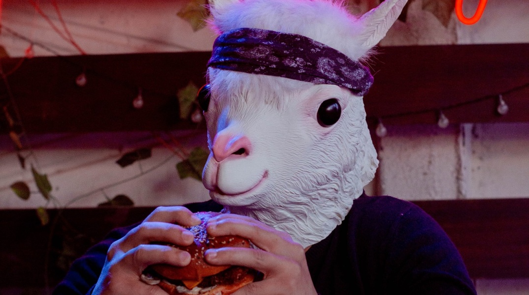 Πώς η ολλανδική πόλη Χάαρλεμ απαγόρευσε τις διαφημίσεις του κρέατος