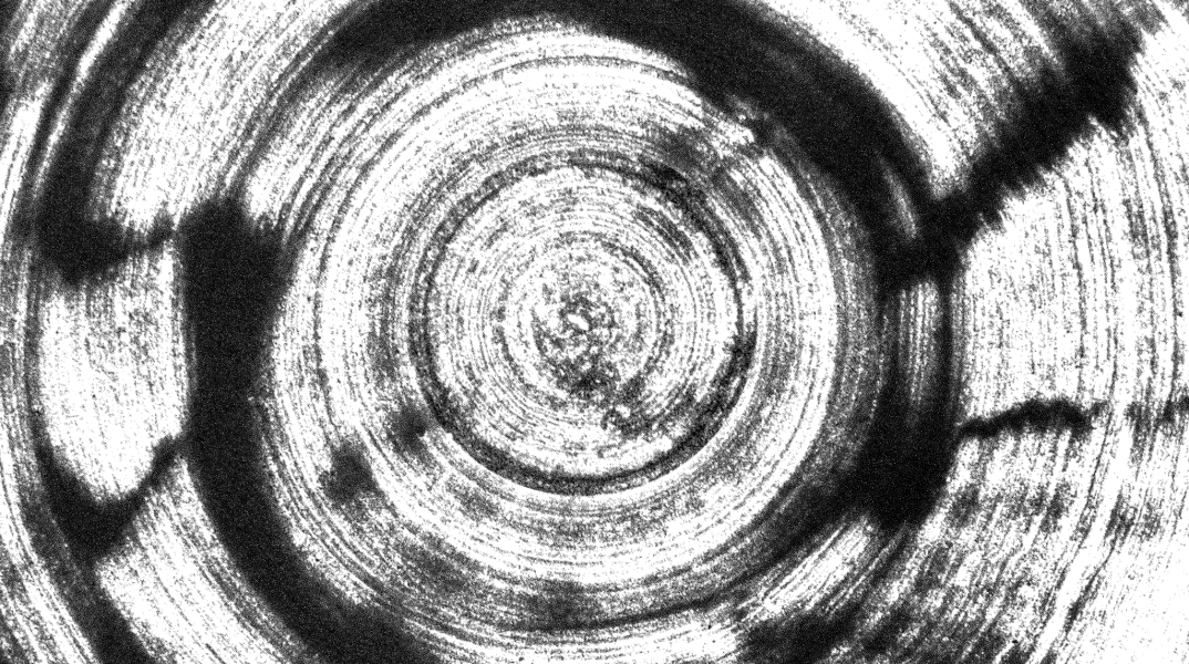 mail_profilepic_electric_nights