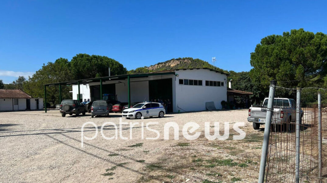 Δολοφονία στον Πύργο Ηλείας