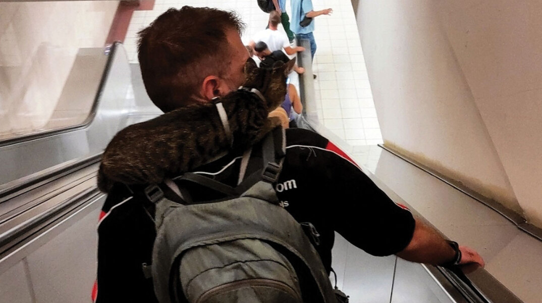 Άντρας με γάτα καθισμένη στον αυχένα του κατεβαίνει τις σκάλες του μετρό