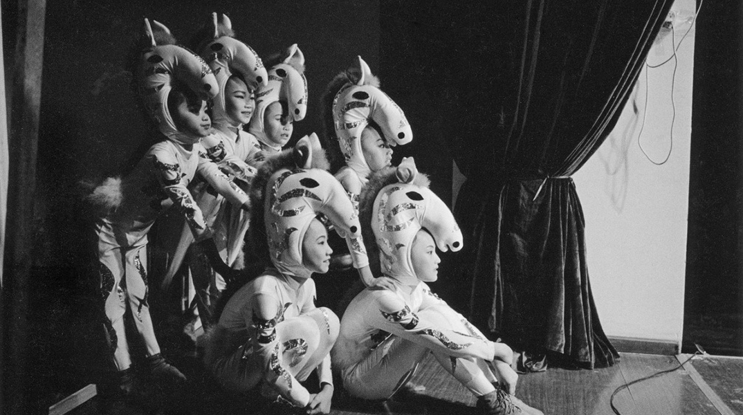 Παύλος Κοζαλίδης, «Το σπίτι των πεταλούδων» στο Μουσείο Μπενάκη