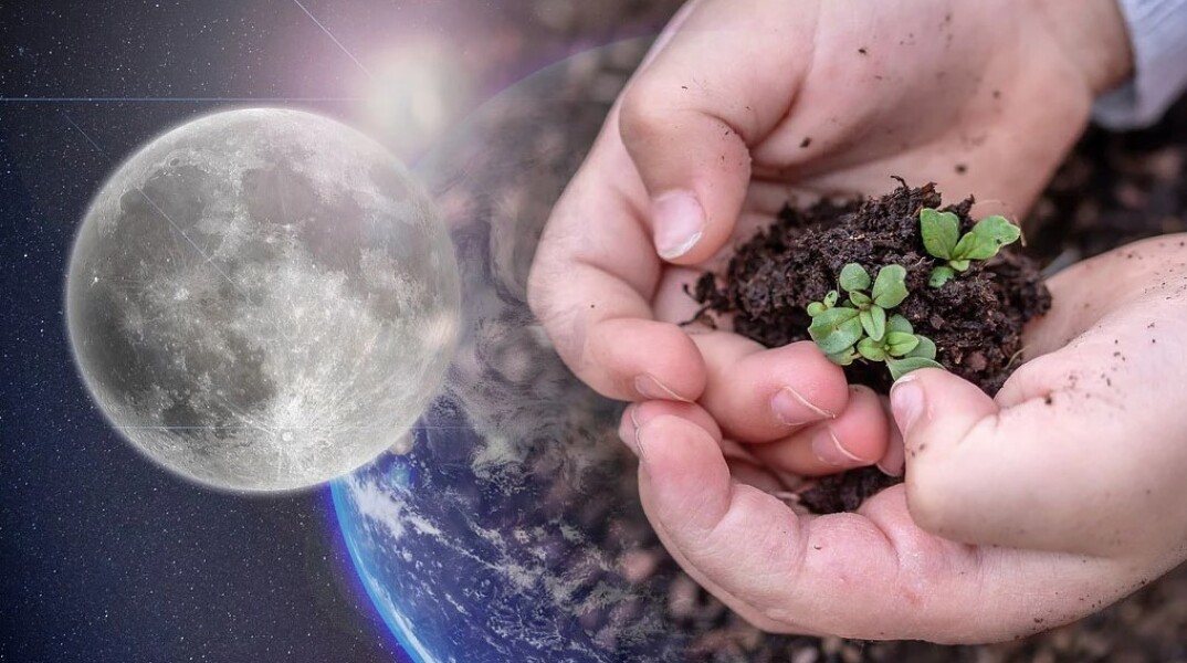 «Στοίχημα» για τους επιστήμονες τα φυτά στη Σελήνη και η καλλιέργειά τους