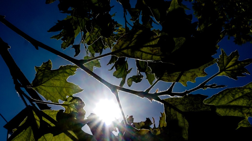 Ηλιοφάνεια - Ο καιρός σήμερα