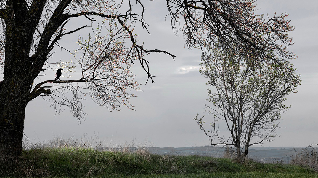 Στράτος Καλαφάτης «Οψόμεθα εις Φιλίππους» στην γκαλερί Bernier/Eliades