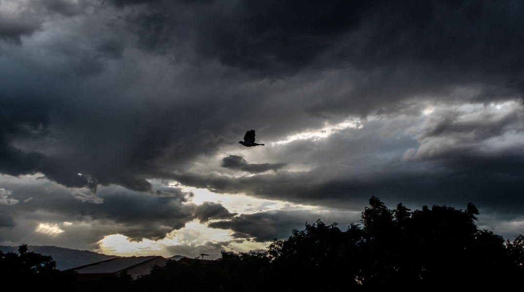 Μαύρα σύννεφα και ένα πουλάκι που πετά τον ορίζοντα
