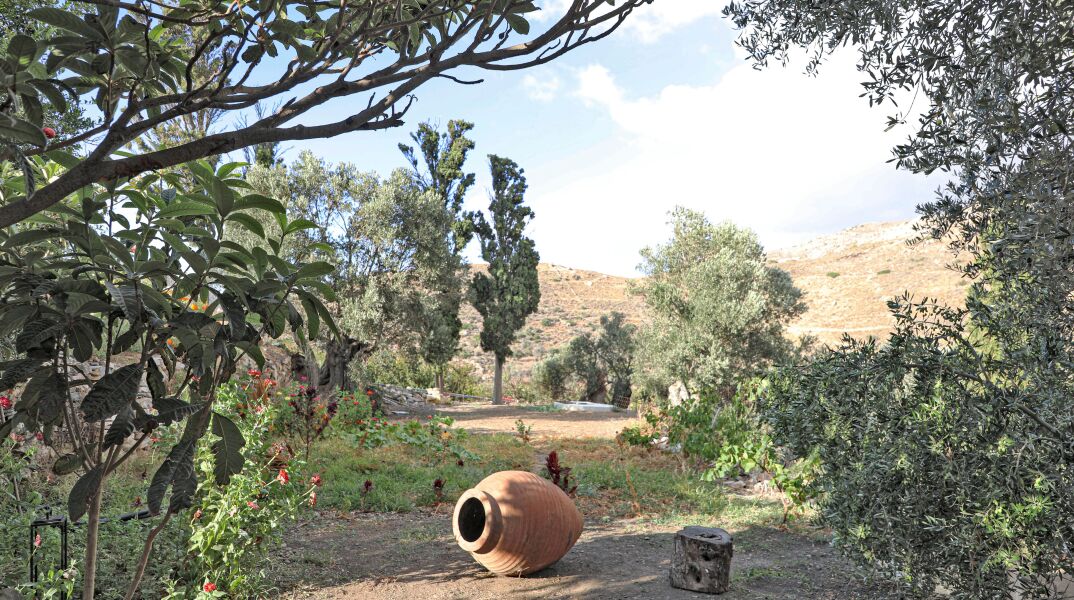 «Μια βραδιά κάτω απ΄ την ελιά» 