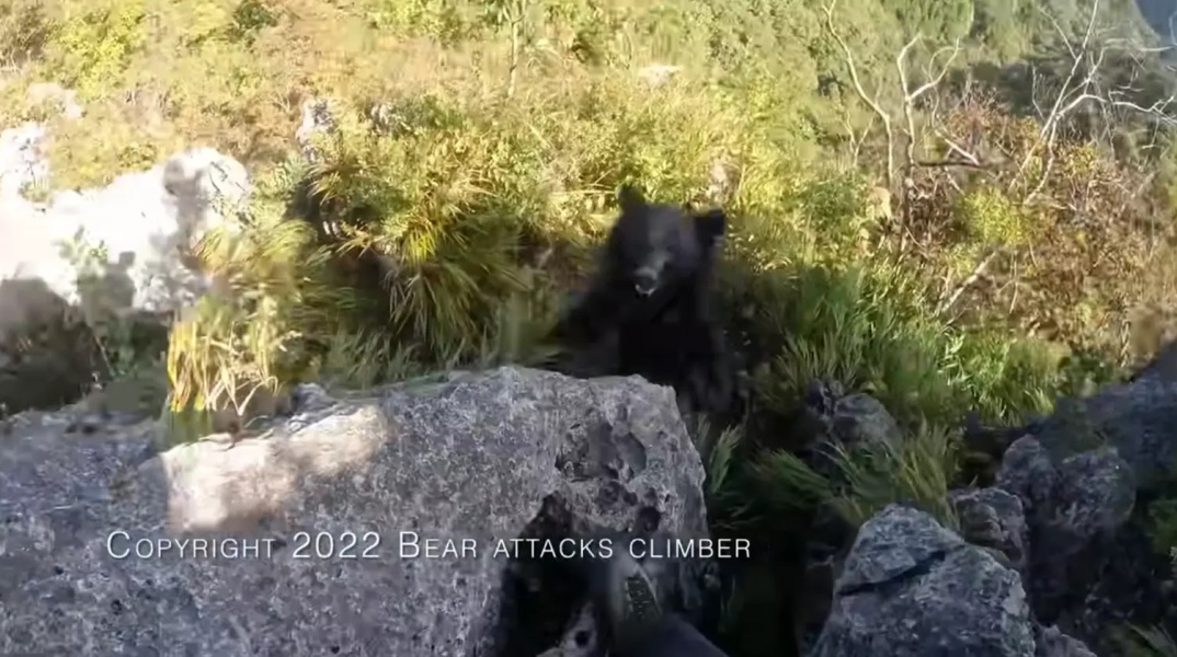 mountain-climber-fights-off-bear-barefisted-2