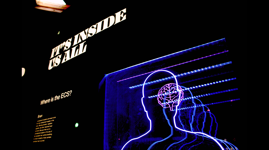 Μέσα στο μυαλό σου: Η μυστική ζωή του εφηβικού εγκεφάλου