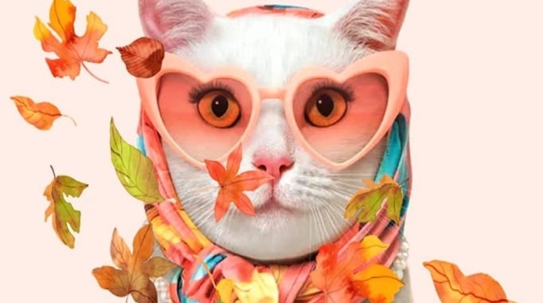 imera-iothesias-gata_