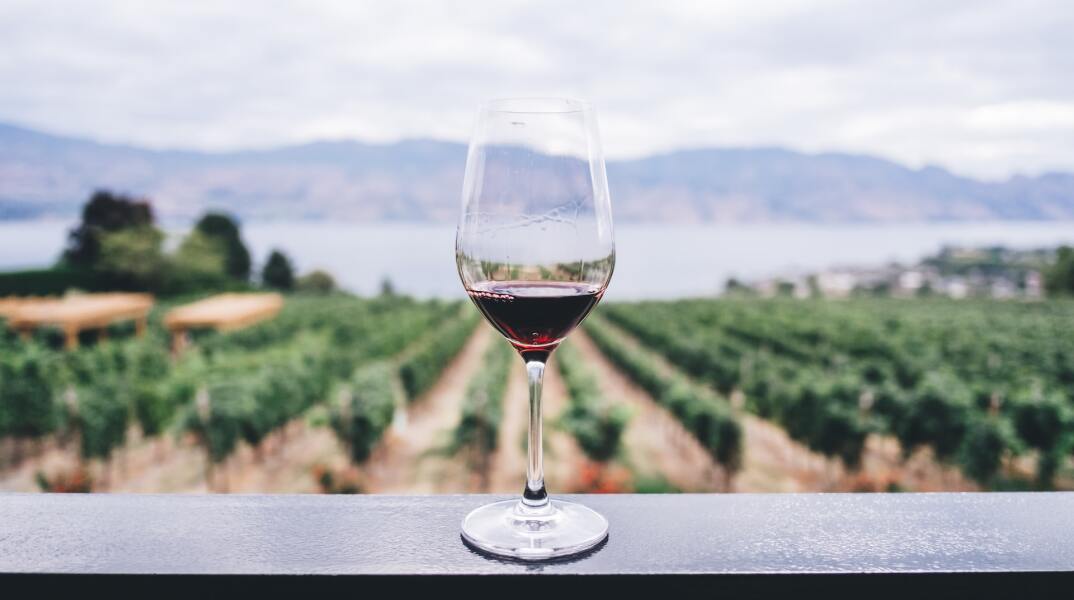 Ποτήρι κρασί μπροστά από αμπελώνα