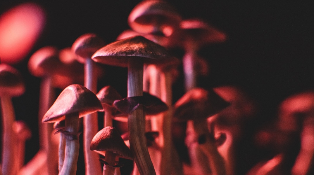 Έρευνα: «Παράθυρο ευκαιρίας» για θεραπεία της κατάθλιψης αποτελεί φάρμακο βασισμένο στη χημική ένωση της ουσίας που περιέχεται στα παραισθησιογόνα μανιτάρια.