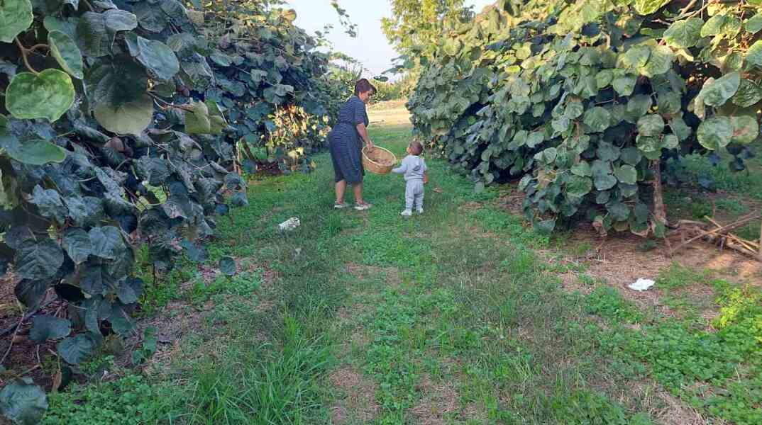 Αναστασία Καλαλίδου, η πολύτεχνη αγρότισσα που σαρώνει το TikTok με τις συνταγές της