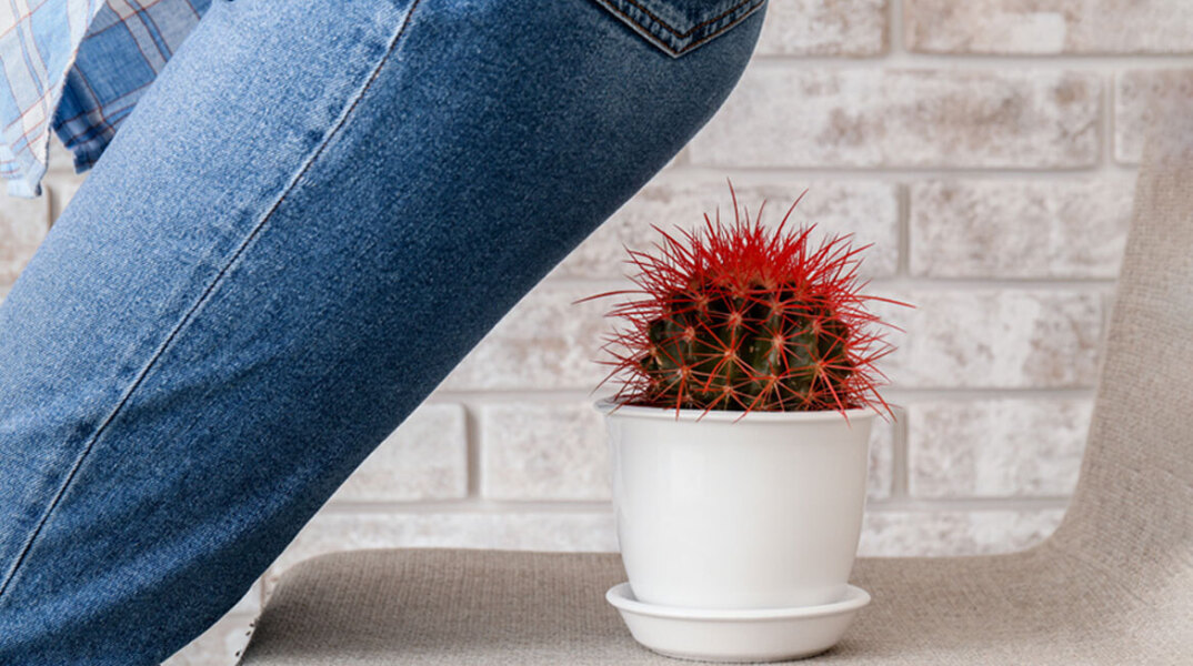 Αιμορροϊδική νόσος