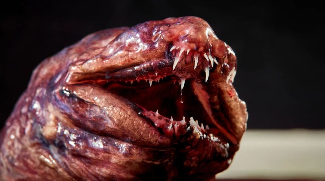 Επιστήμονες ανακάλυψαν εντυπωσιακά πλάσματα στα βάθη της θάλασσας στα νησιά Κόκος στον Ινδικό Ωκεανό