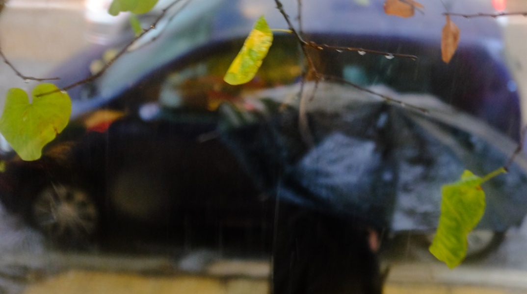 Πολίτης με ομπρέλα προστατεύεται από τη βροχή - Φύλλα δέντρου σε πρώτο πλάνο