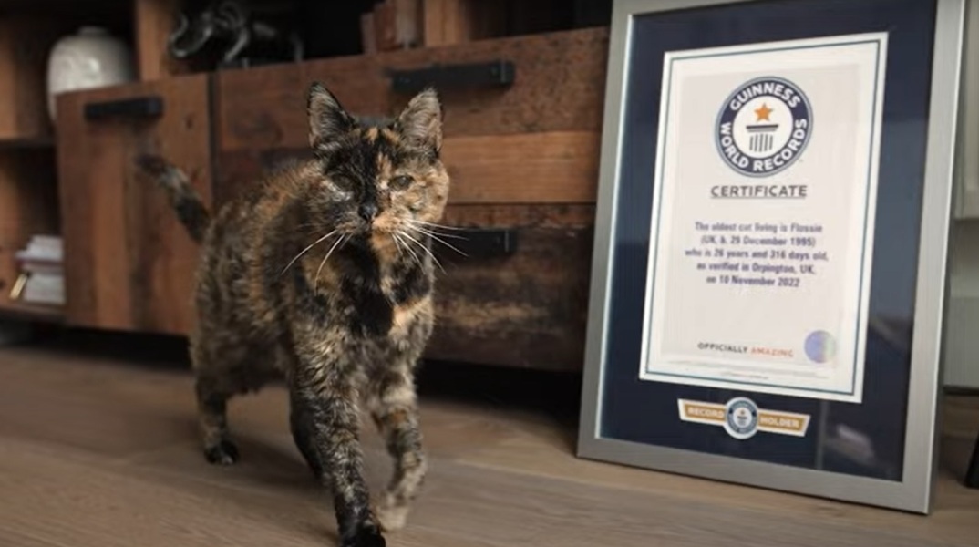 Η γηραιότερη γάτα στον κόσμο επιβεβαιώθηκε σε ηλικία 26 ετών από τα Παγκόσμια Ρεκόρ Γκίνες - Το χρονικό του περιπετειώδους βίου της Φλόσι.