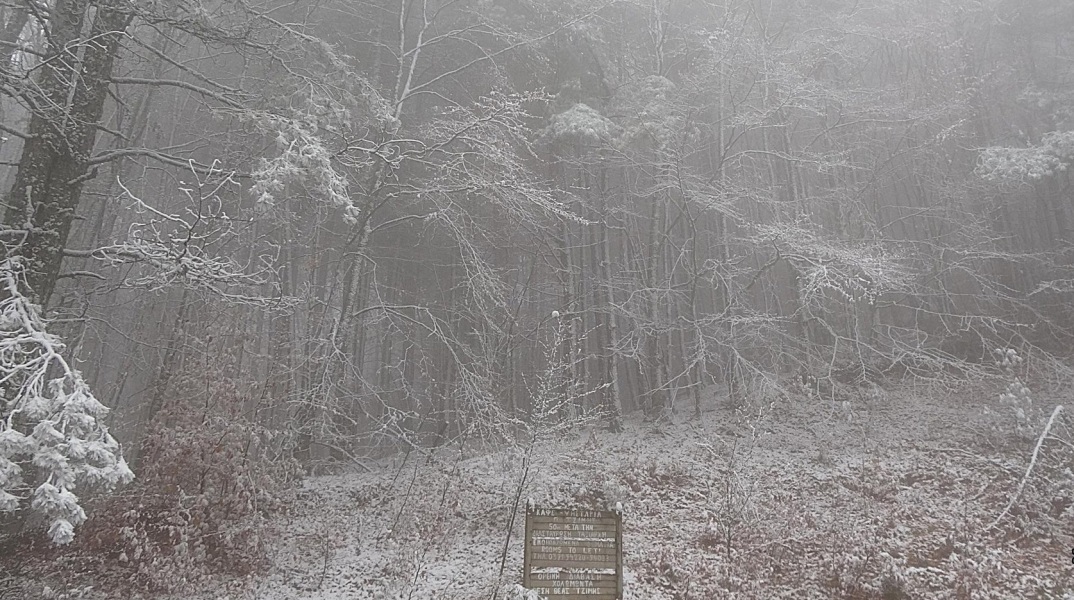 Στα λευκά ντύθηκαν οι ορεινές περιοχές της Χαλκιδικής – Πλήρως καλυμμένος από το χιόνι ο Χολομώντας, στα 650 μέτρα υψόμετρο. 