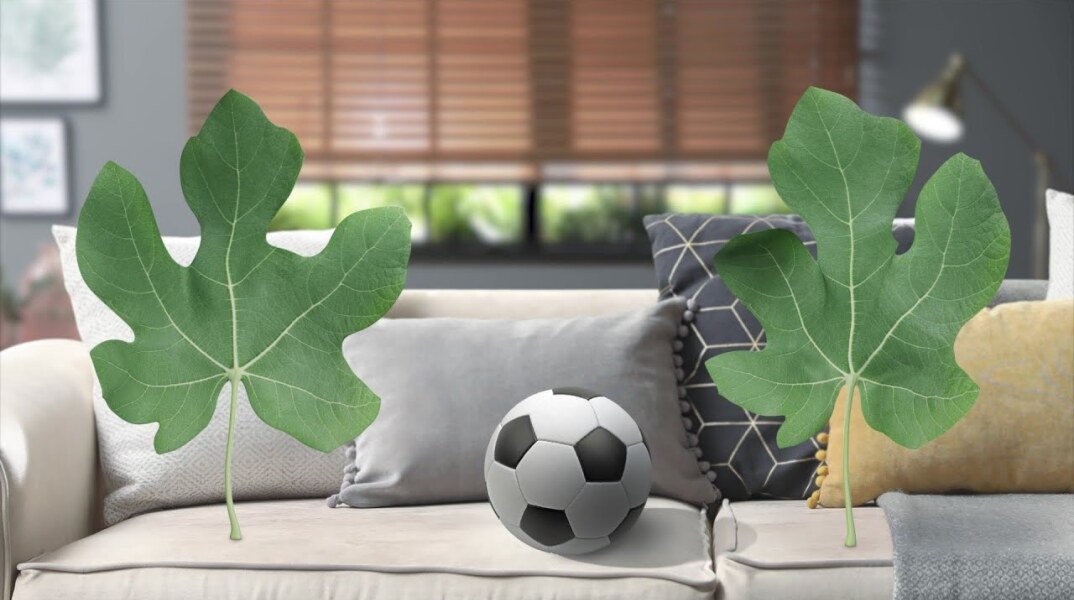 Δύο φύλλα συκής με μπάλα ποδοσφαίρου σε καναπέ σπιτιού