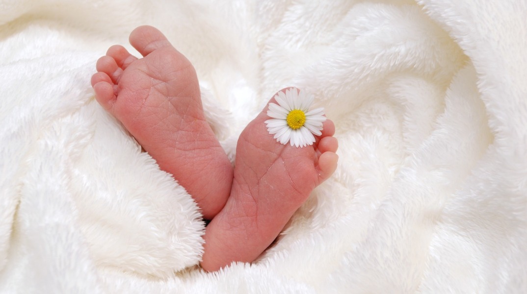 Πατουσάκια νεογέννητου μωρού με ένα κλωνάρι χαμημήλι