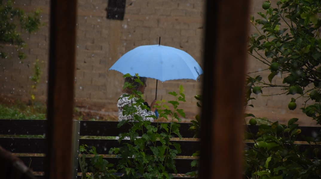 Γυναίκα με ομπρέλα στο βάθος του πλάνου προστατεύεται από τη βροχή - Στο προσκήνιο φυτά με σταγόνες βροχής