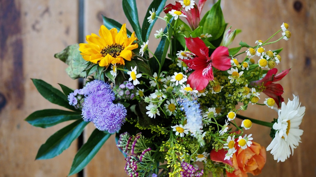 Ποιοι γιορτάζουν σήμερα 3 Δεκεμβρίου; Το εορτολόγιο της Athens Voice σου τους θυμίζει. Μην ξεχάσεις να τους δώσεις τις καλύτερες ευχές σου!