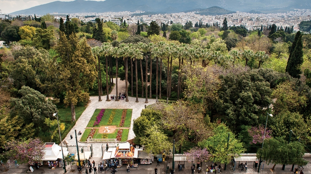 Δέντρα στην Αθήνα