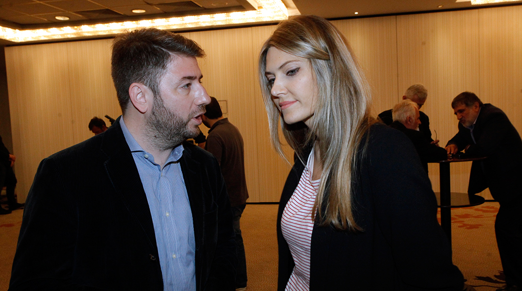 Εύα Καϊλή, Νίκος Ανδρουλάκης