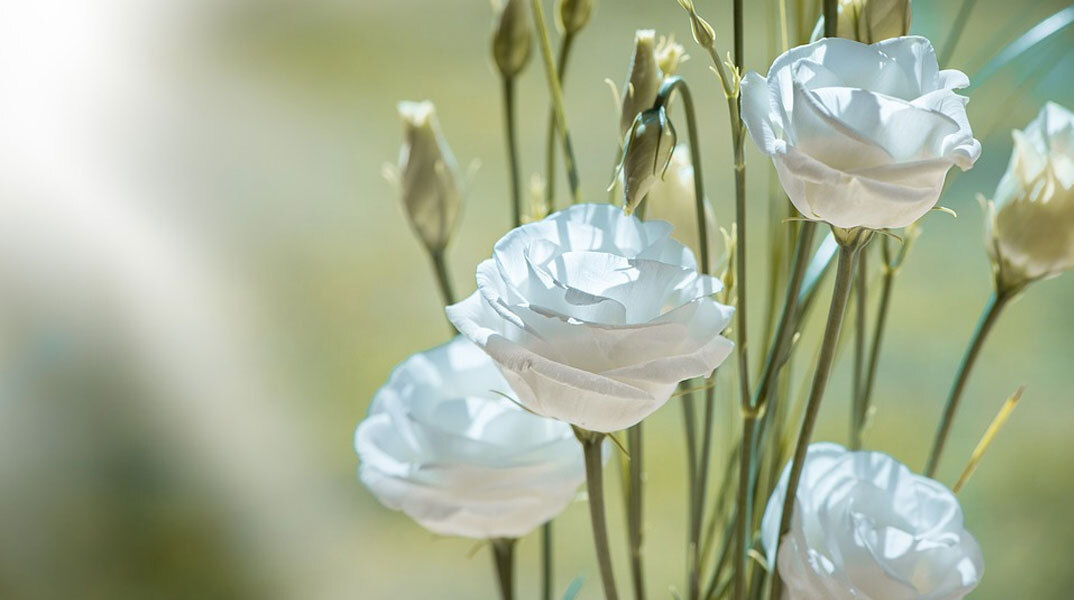 eortologio-31-dekemvriou