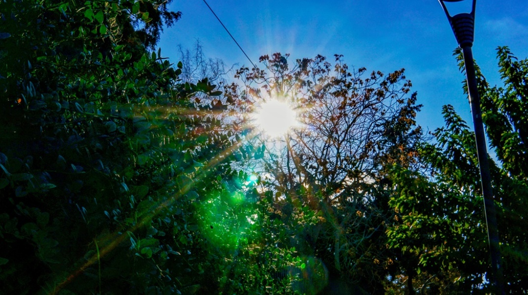 Ήλιος διακρίνεται πίσω από τα φυλλώματα δέντρου