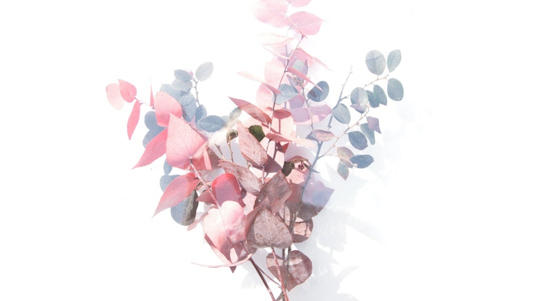 Εορτολόγιο: Σήμερα 11 Ιανουαρίου γιορτάζει…