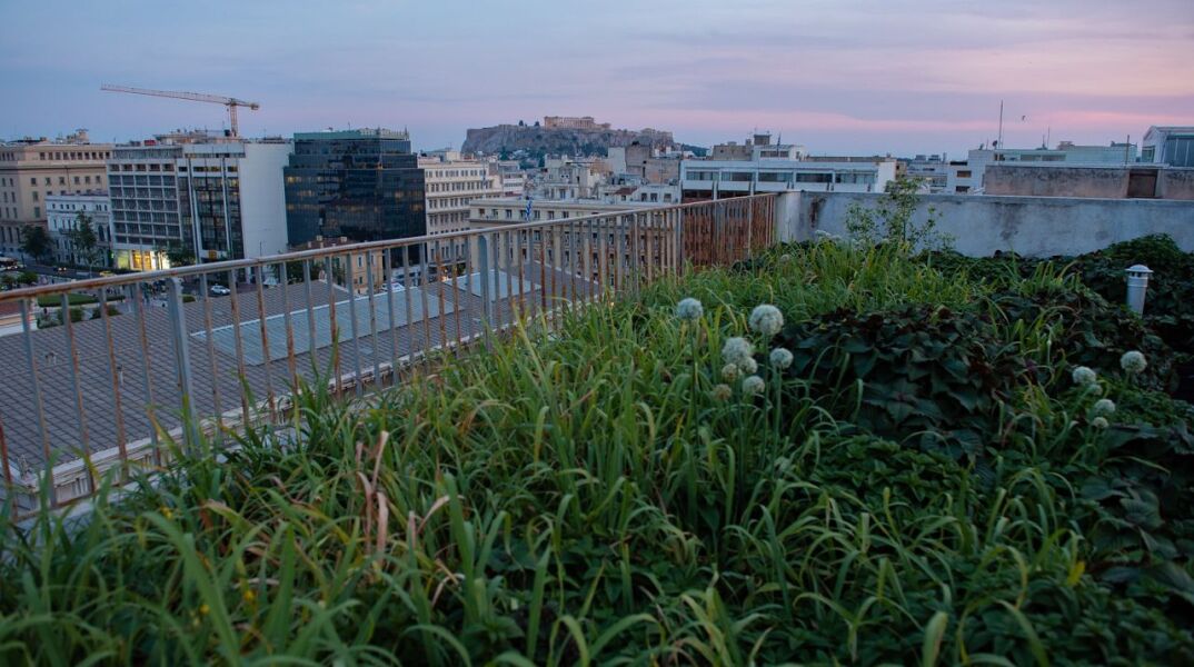 Βιετναμέζικος κήπος